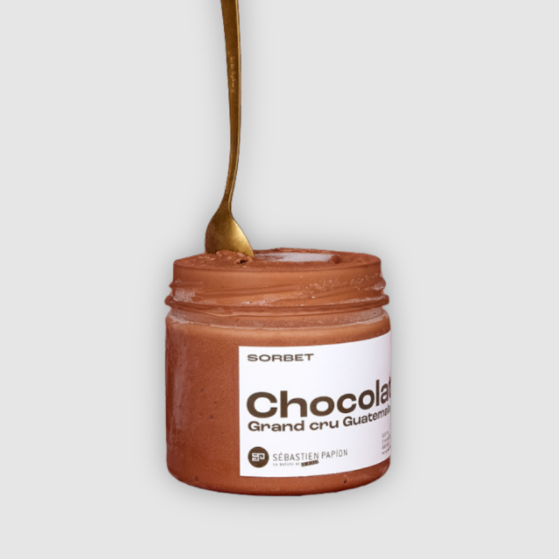 Sorbet Chocolat Noir du Guatemala